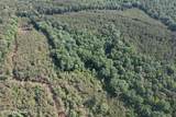  Tom Mans Road - Photo 11
