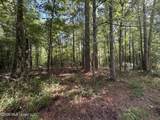  Tom Mans Road - Photo 8