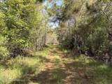  Tom Mans Road - Photo 9