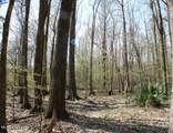  Walnut Road - Photo 2