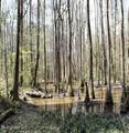  Walnut Road - Photo 4
