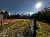 10623 Highway 603 - Photo 6