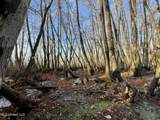 00 Quofaloma Road - Photo 10