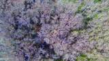 00 Quofaloma Road - Photo 14