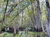 00 Quofaloma Road - Photo 19