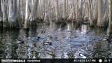 00 Quofaloma Road - Photo 4
