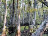 00 Quofaloma Road - Photo 9
