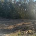 Lot 6 Summer Circle - Photo 5