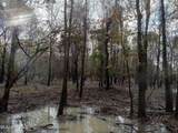 237 King Williams Road - Photo 14
