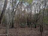 237 King Williams Road - Photo 16