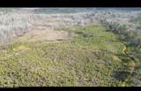 01 Highway 19 - Photo 1