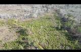 01 Highway 19 - Photo 10