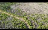 01 Highway 19 - Photo 11