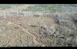 01 Highway 19 - Photo 15