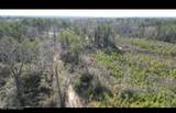 01 Highway 19 - Photo 16