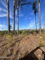 01 Highway 19 - Photo 2