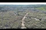 01 Highway 19 - Photo 23