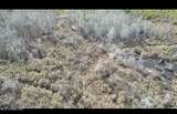01 Highway 19 - Photo 24