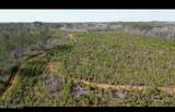 01 Highway 19 - Photo 5