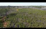 01 Highway 19 - Photo 6
