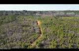 01 Highway 19 - Photo 8