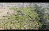 01 Highway 19 - Photo 9