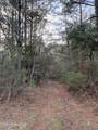  Leetown And Highway 43 Highway - Photo 10