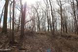 2167 Hogan Road - Photo 19