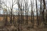 2167 Hogan Road - Photo 8