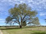 107 Co Rd 224 - Photo 18