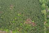  Campbell Creek Road - Photo 11