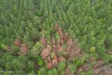  Campbell Creek Road - Photo 13