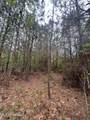  Campbell Creek Road - Photo 16