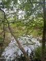  Campbell Creek Road - Photo 17