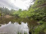  Campbell Creek Road - Photo 18