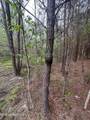  Campbell Creek Road - Photo 19