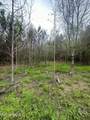  Campbell Creek Road - Photo 21