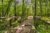  Spring Road - Photo 17