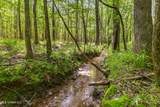  Spring Road - Photo 19