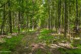  Spring Road - Photo 7
