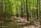  Spring Road - Photo 9