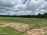 28 Acres Harmon Pope Road - Photo 1