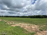 28 Acres Harmon Pope Road - Photo 2