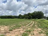 28 Acres Harmon Pope Road - Photo 3