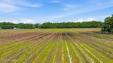 28 Acres Harmon Pope Road - Photo 42