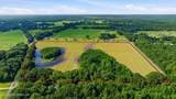 28 Acres Harmon Pope Road - Photo 8
