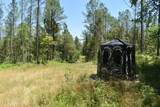 2103 Highway 4 - Photo 107