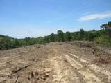  Co Rd 7 - Photo 6