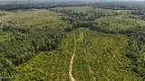  Co Rd 75 - Photo 14