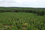  County Road 481 - Photo 2